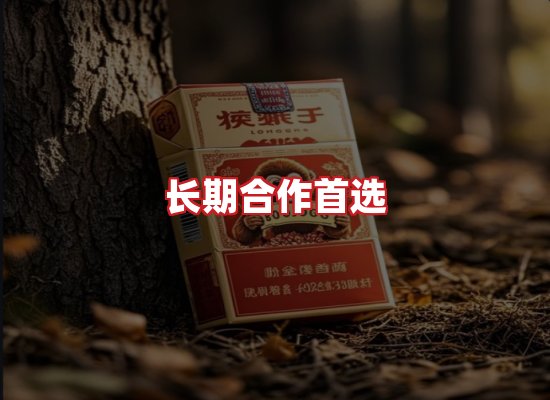 专业团队